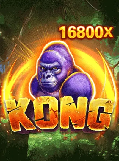 dk888